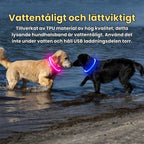 LED Collar for Dogs & Cats Water-resistant and lightweight - Petifo