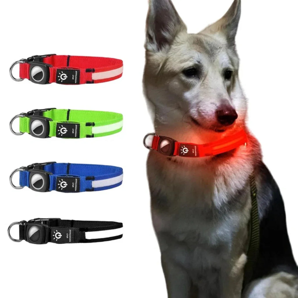 LED light-up dog collar with integrated AirTag holder shown in multiple colors and worn by a dog.