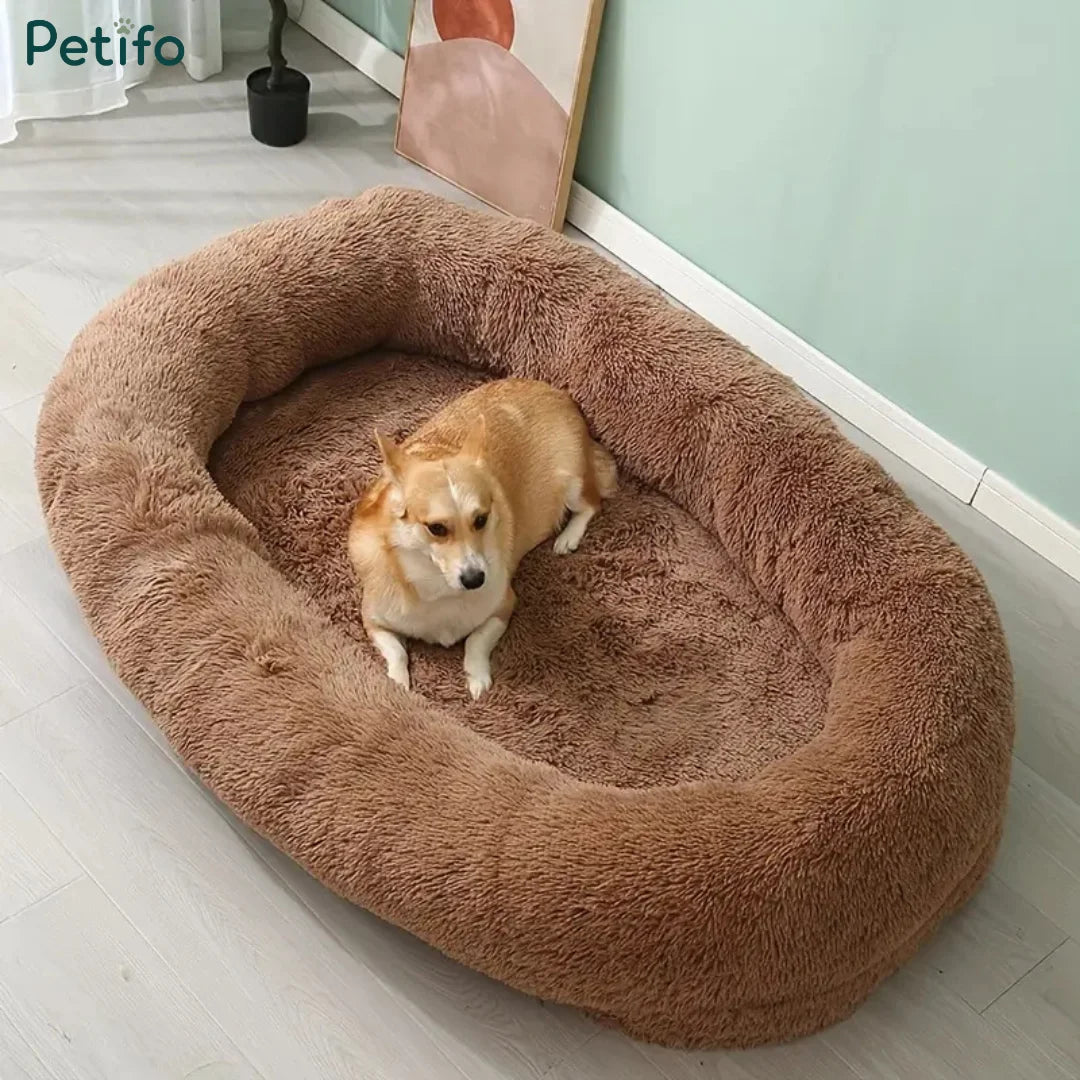 A cute corgi resting comfortably inside a large, plush brown human dog bed.