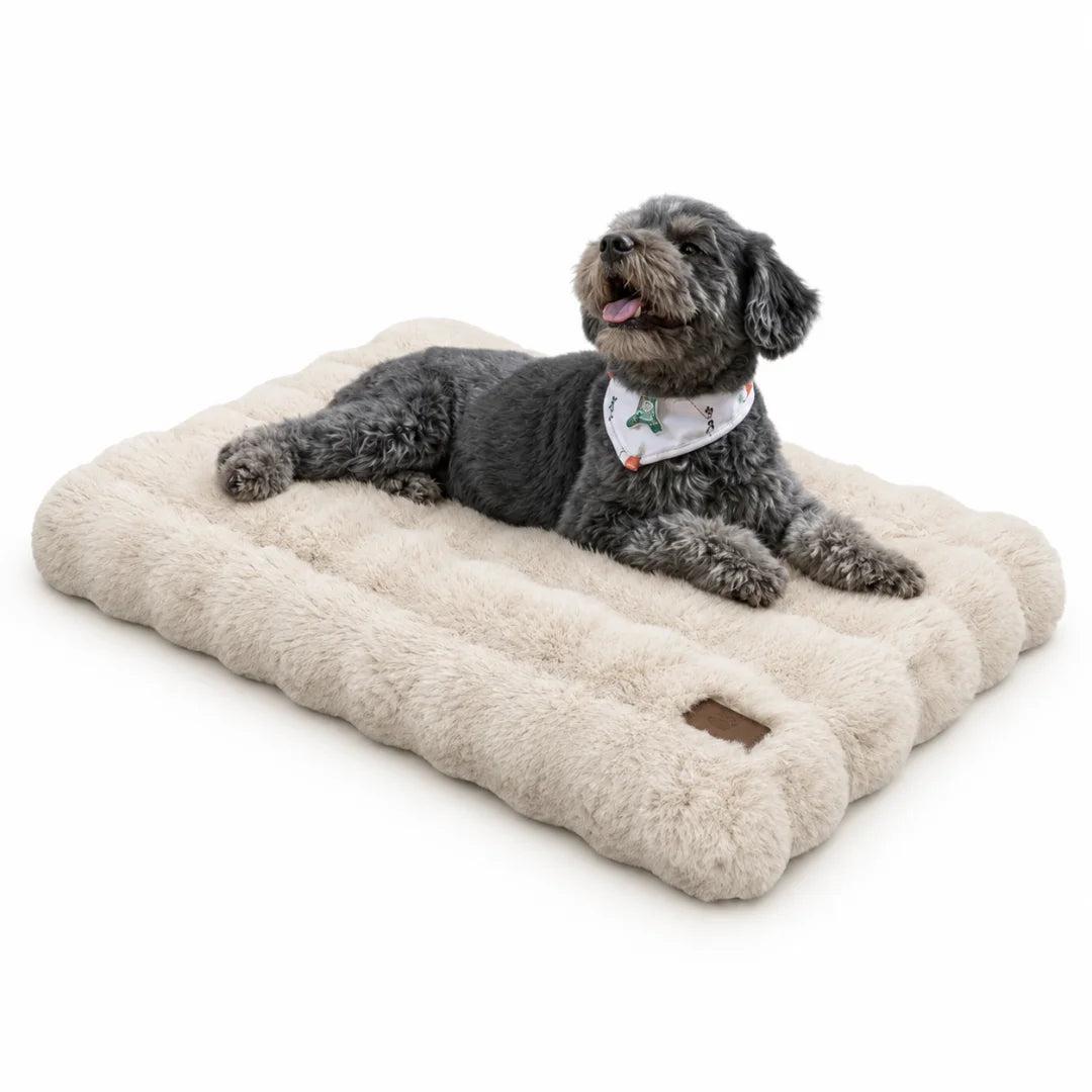 Large golden retriever relaxing on a grey Petifo plush dog bed in a bright modern living room.