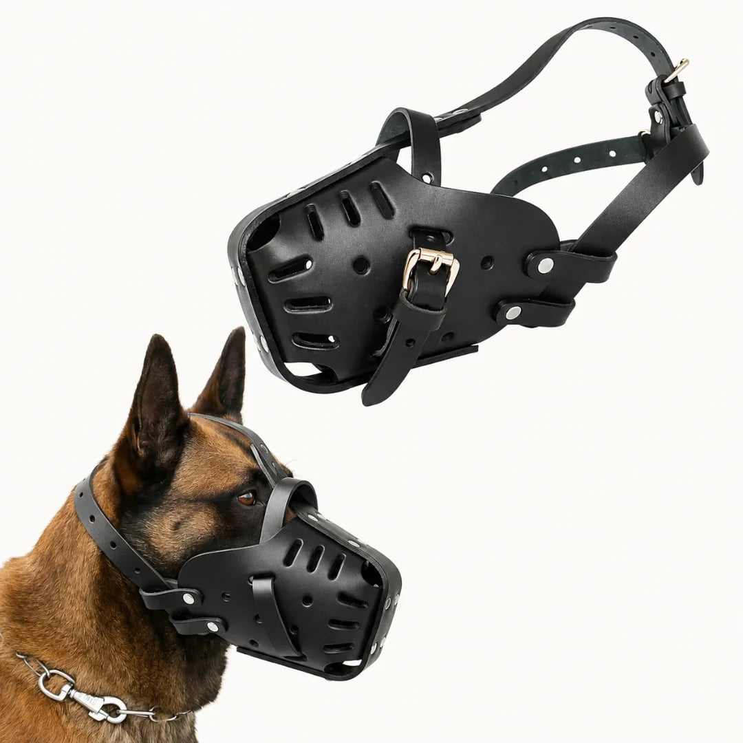 Studio view of the black leather dog muzzle shown both standalone and worn by a dog.