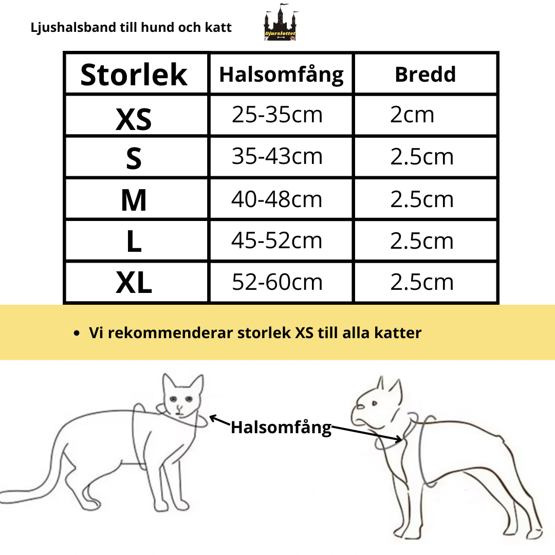 Lysande Halsband Till Hund, 
Lysande Hundkoppel, Ljushalsband - djurslottet