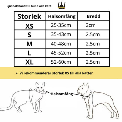Lysande Halsband Till Hund, 
Lysande Hundkoppel, Ljushalsband - djurslottet