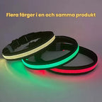 LunaPaw Collar with LED lighting Several colours in one and the same product - Petifo