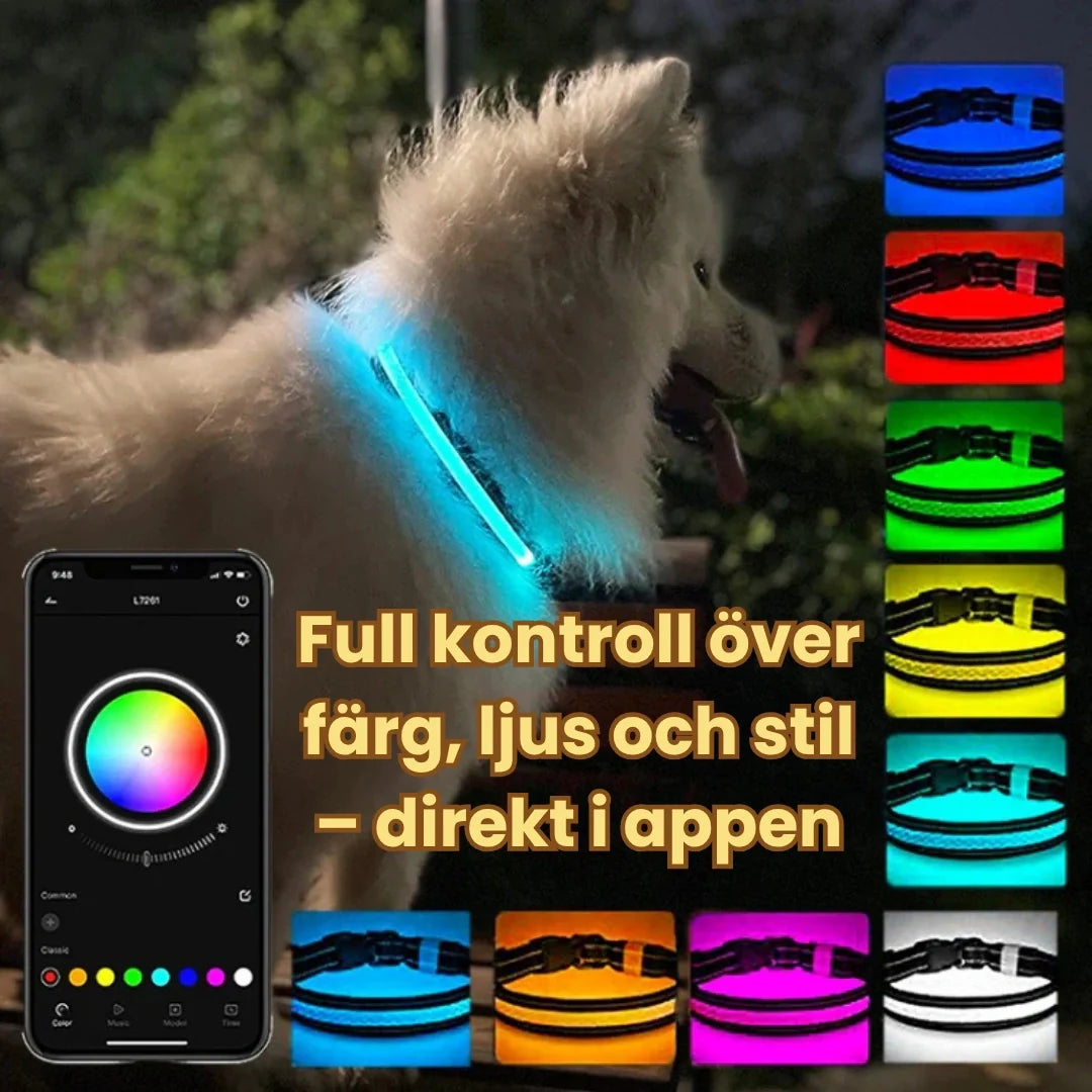 LunaPaw Collar with LED lighting Full control over colour, light and style – directly in the app - Petifo