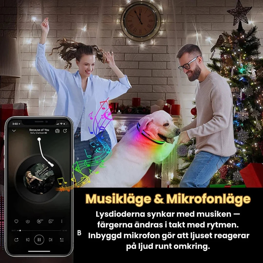 LunaPaw Collar with LED lighting Music mode & Microphone mode - Petifo