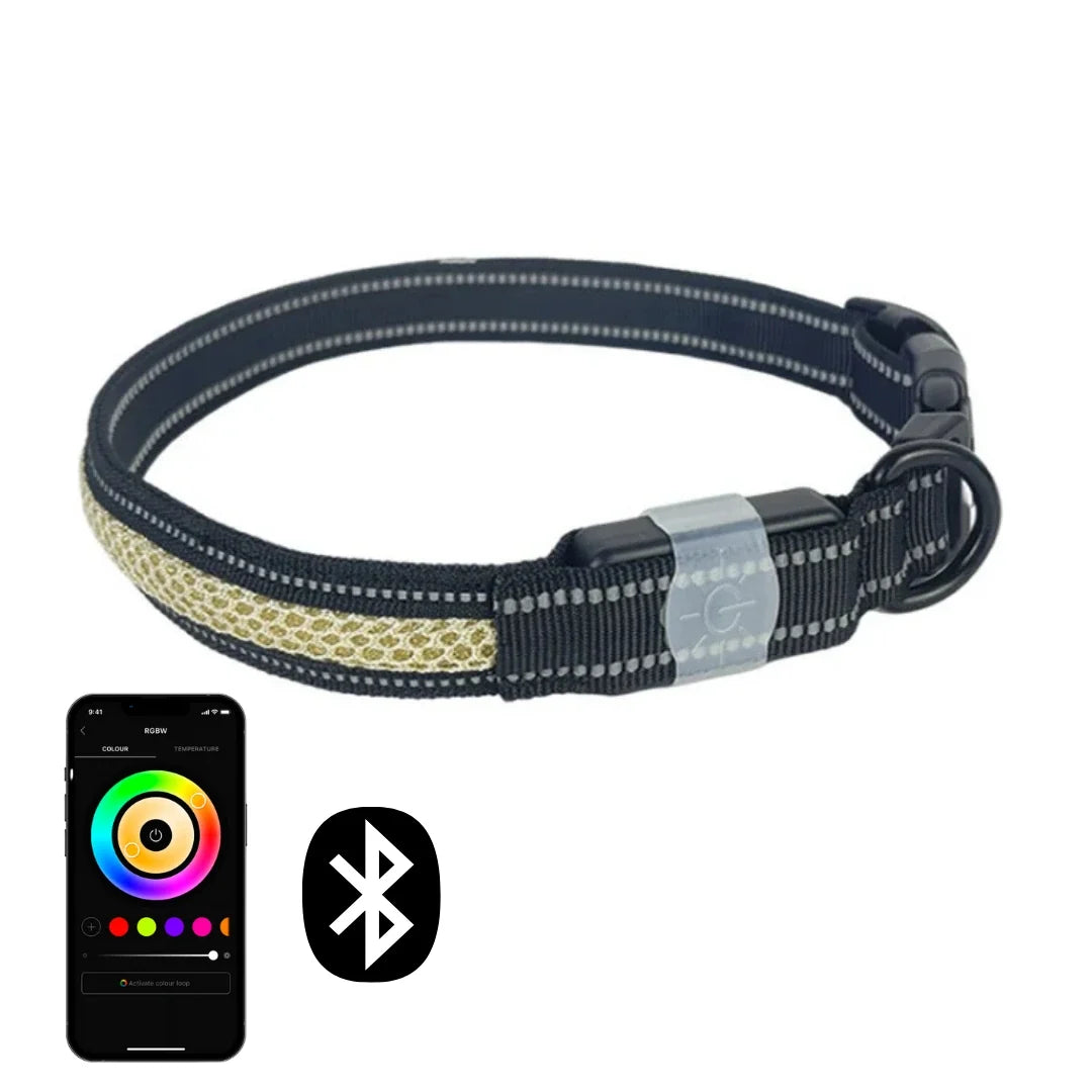 LunaPaw dog Collar with LED lighting - Petifo