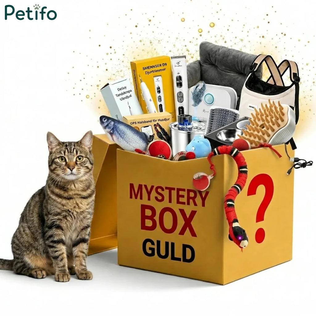 Guld mystery box luxury pet supplies and accessories displayed beside a sitting tabby cat.
