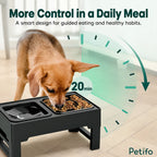 Small dog eating from an elevated slow feeder bowl to encourage healthier daily meal pacing.