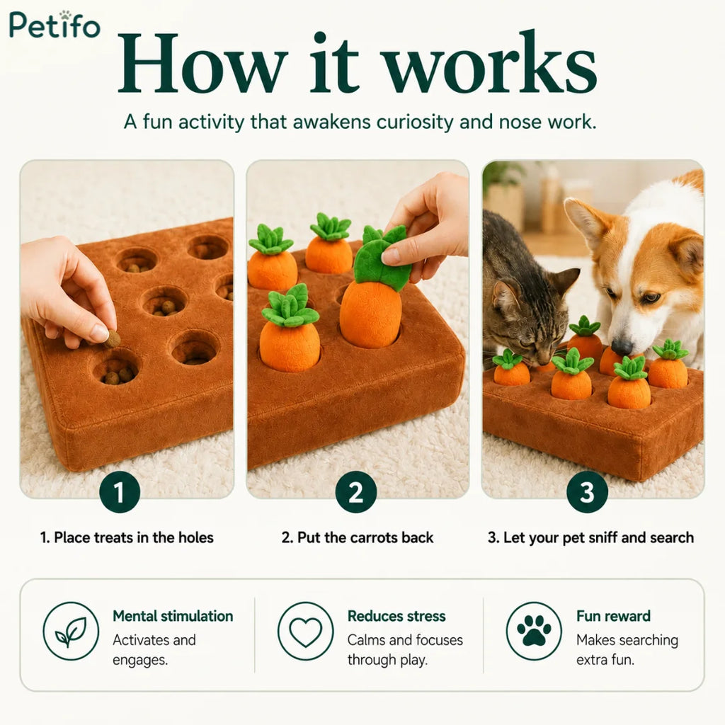 Step-by-step instruction guide demonstrating how to use the Petifo carrot harvest dog puzzle toy for mental stimulation.