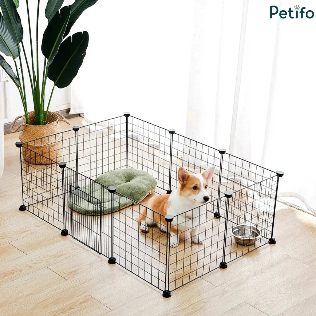 Corgi puppy inside a modular Petifo black wire dog playpen with a door and resting mat.