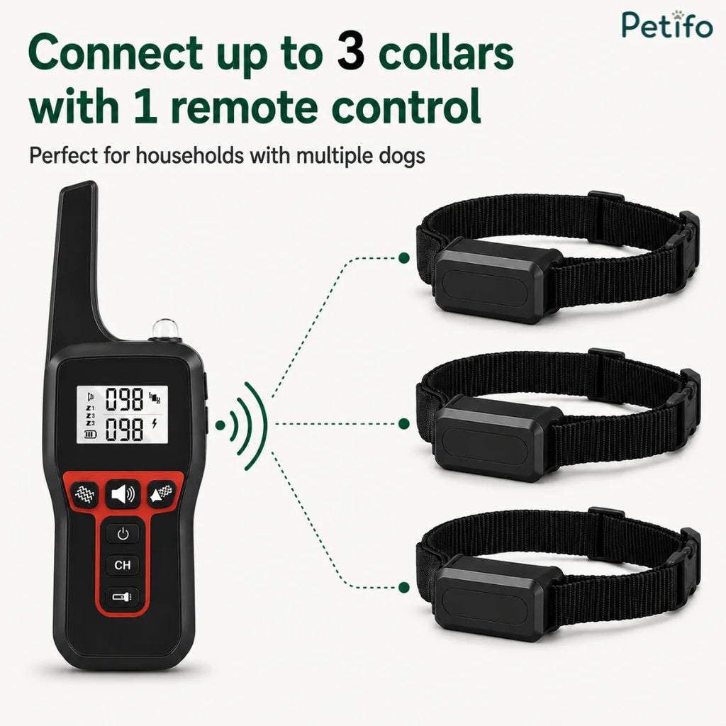 Diagram illustrating how one remote control can connect to up to 3 collars simultaneously for multi-dog households.