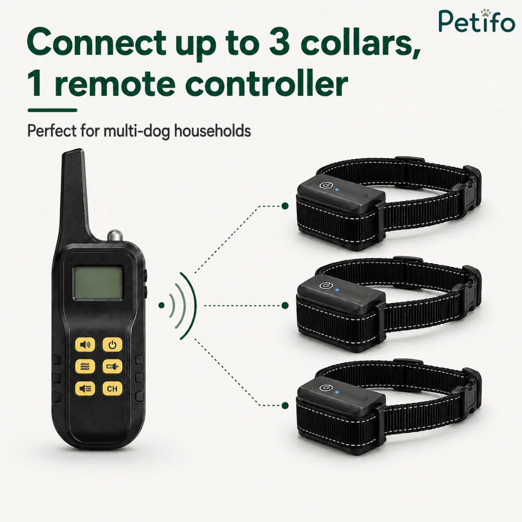 Multi-dog training system illustration demonstrating how a single remote controller connects up to three separate receiver collars.