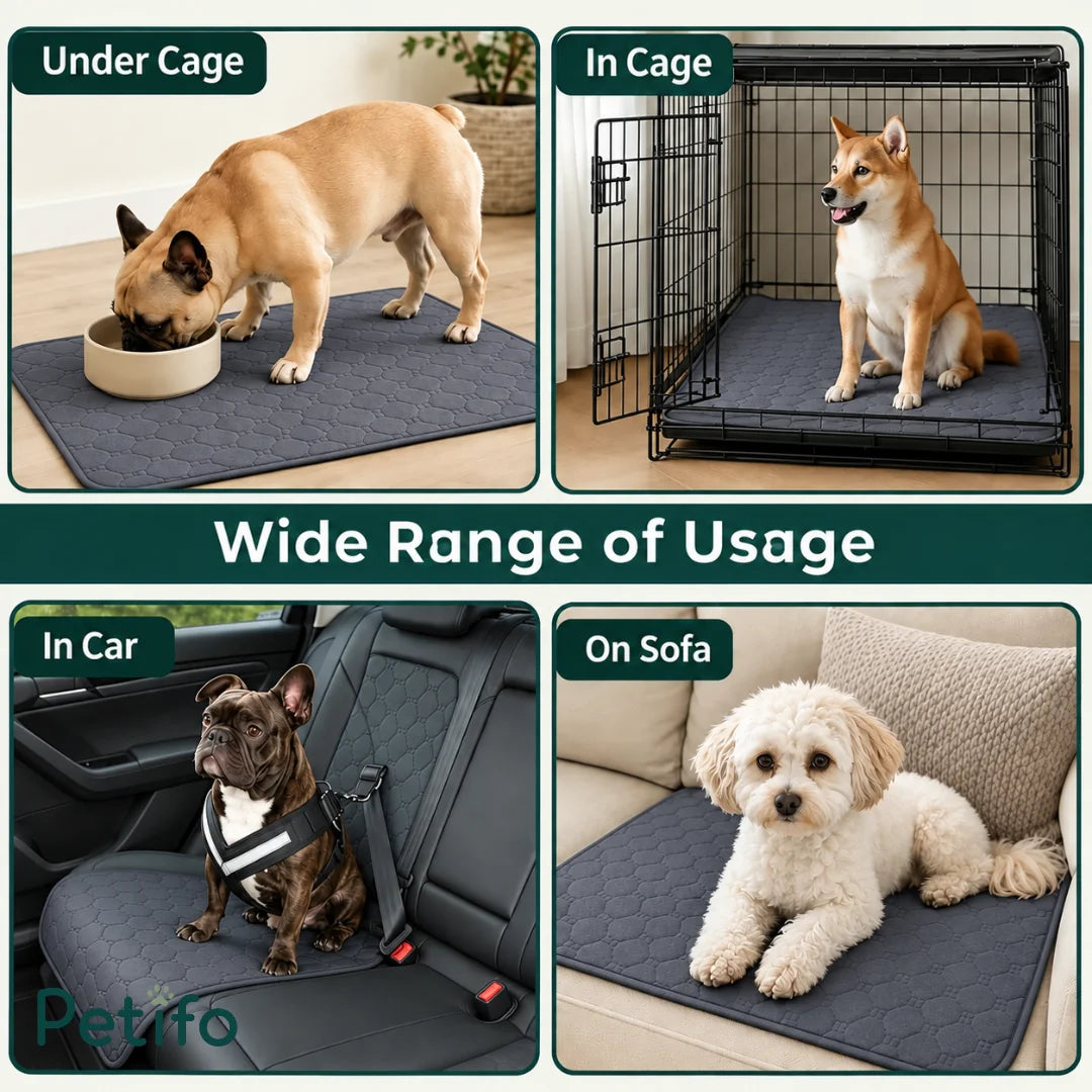 Multi-use display showing the grey pet pee mat placed under cages, inside crates, on car seats, and on sofas.