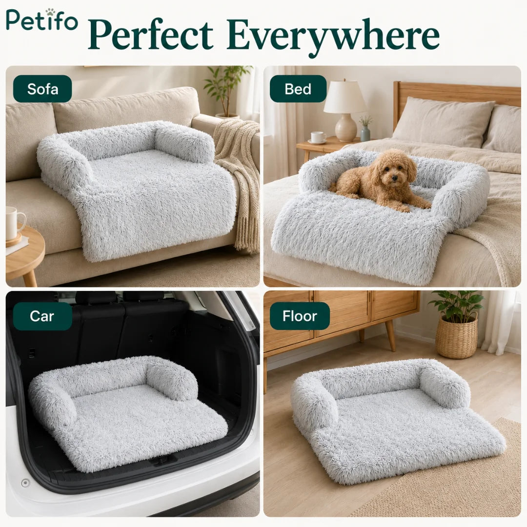 Multi-use display of the Petifo grey pet sofa bed styled on a sofa, bed, car trunk, and floor.