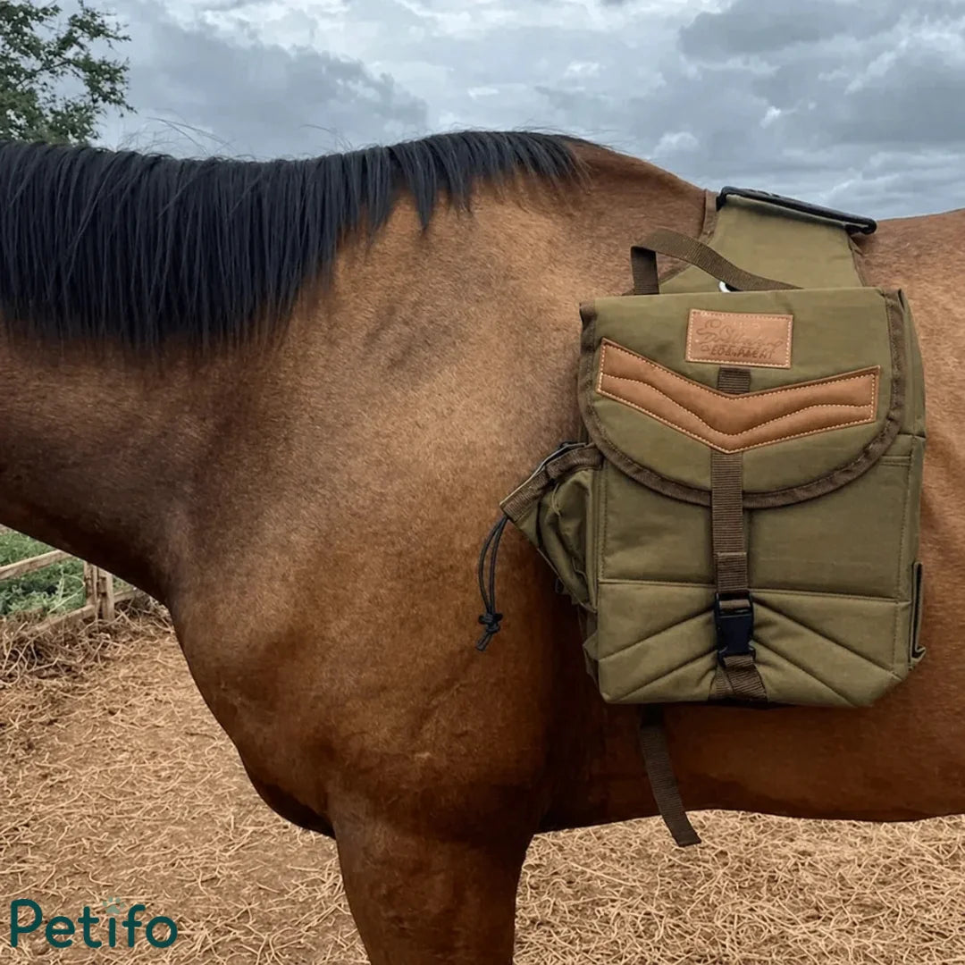 Olive canvas equestrian saddle bag mounted on a horse's back.