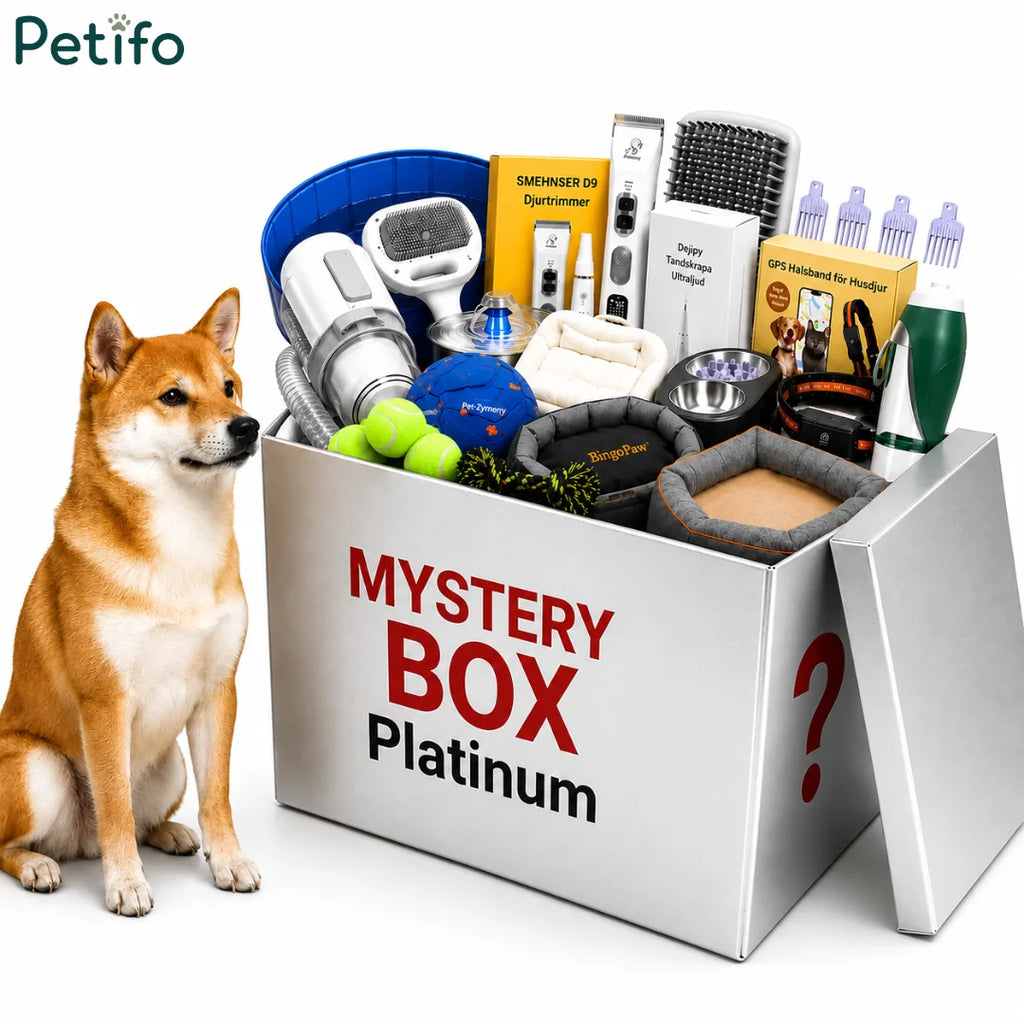 Platinum mystery box packed with diverse pet care accessories beside a happy Shiba Inu.