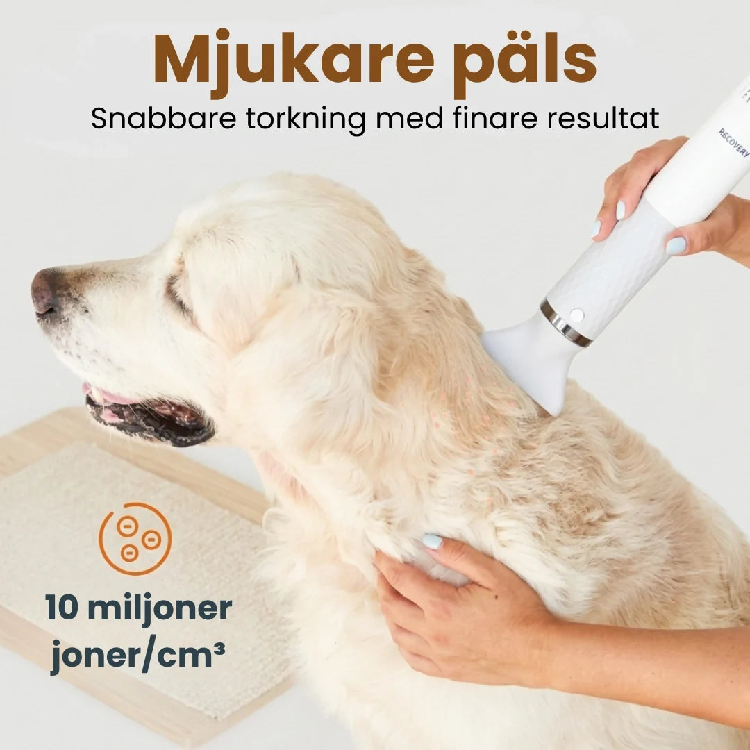 Petdryer Gloss Coat Dryer softer and glossier coat - Petifo