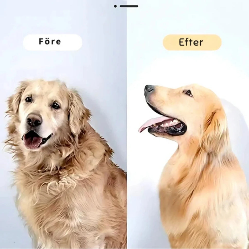 Petdryer Pro coat dryer before and after - Petifo