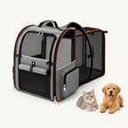 Petifo expandable pet carrier with its back mesh compartment fully extended alongside a grey cat and a golden retriever puppy.