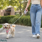 A person walking a fluffy puppy outdoors on a paved pathway using a pink retractable leash.