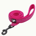 A Pink TrueLove Reflexfit reflective dog leash with a padded handle and durable metal clip.