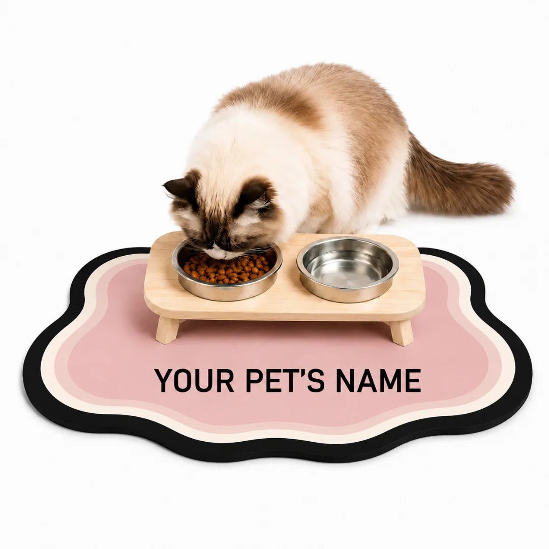 Fluffy ragdoll cat eating from a raised wooden double bowl stand on a custom pink cloud-shaped pet placemat.