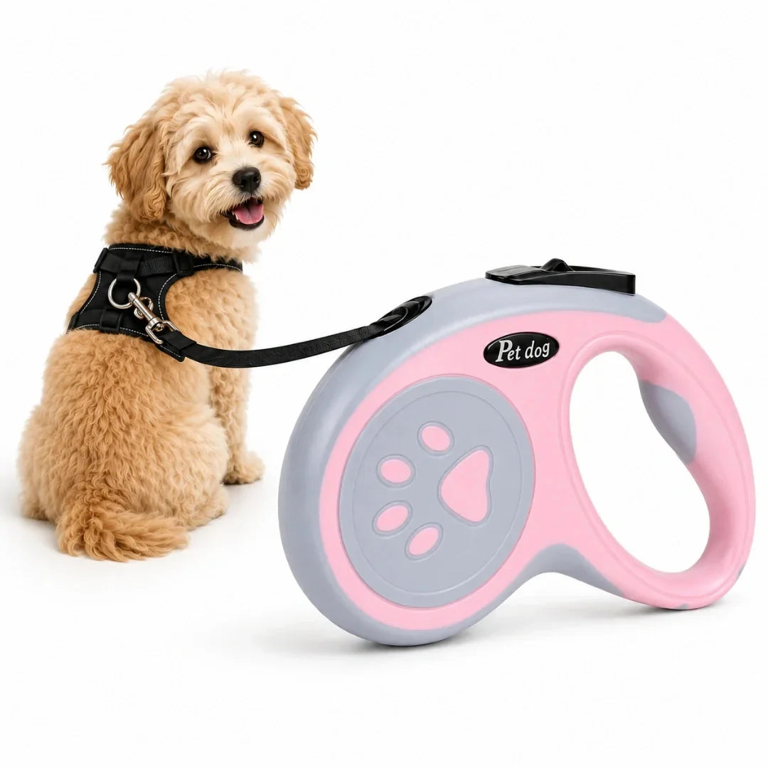 A cute curly-haired puppy sitting next to a pink and gray retractable dog leash.