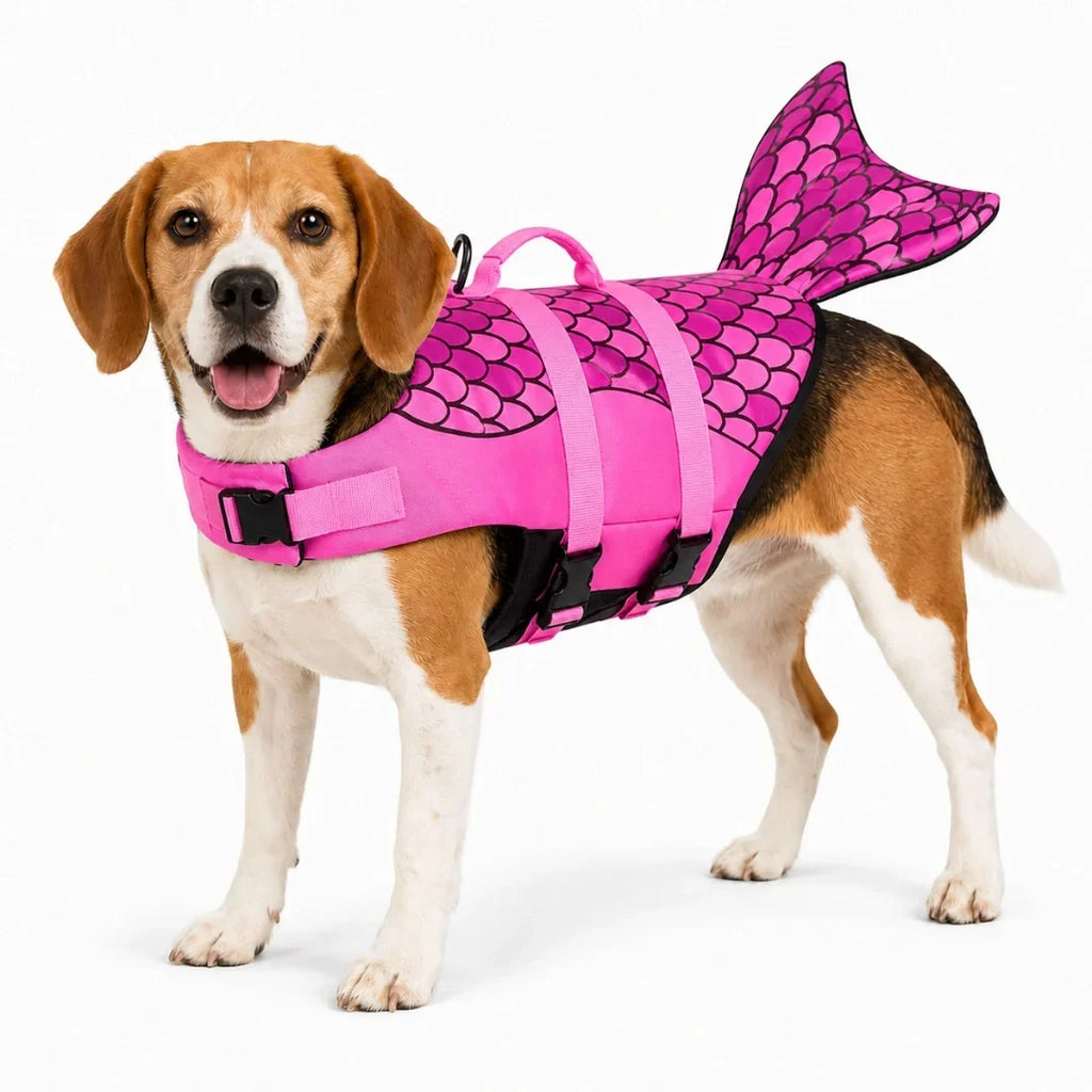 Beagle wearing the pink mermaid scale Petifo dog life jacket during a studio product shoot.