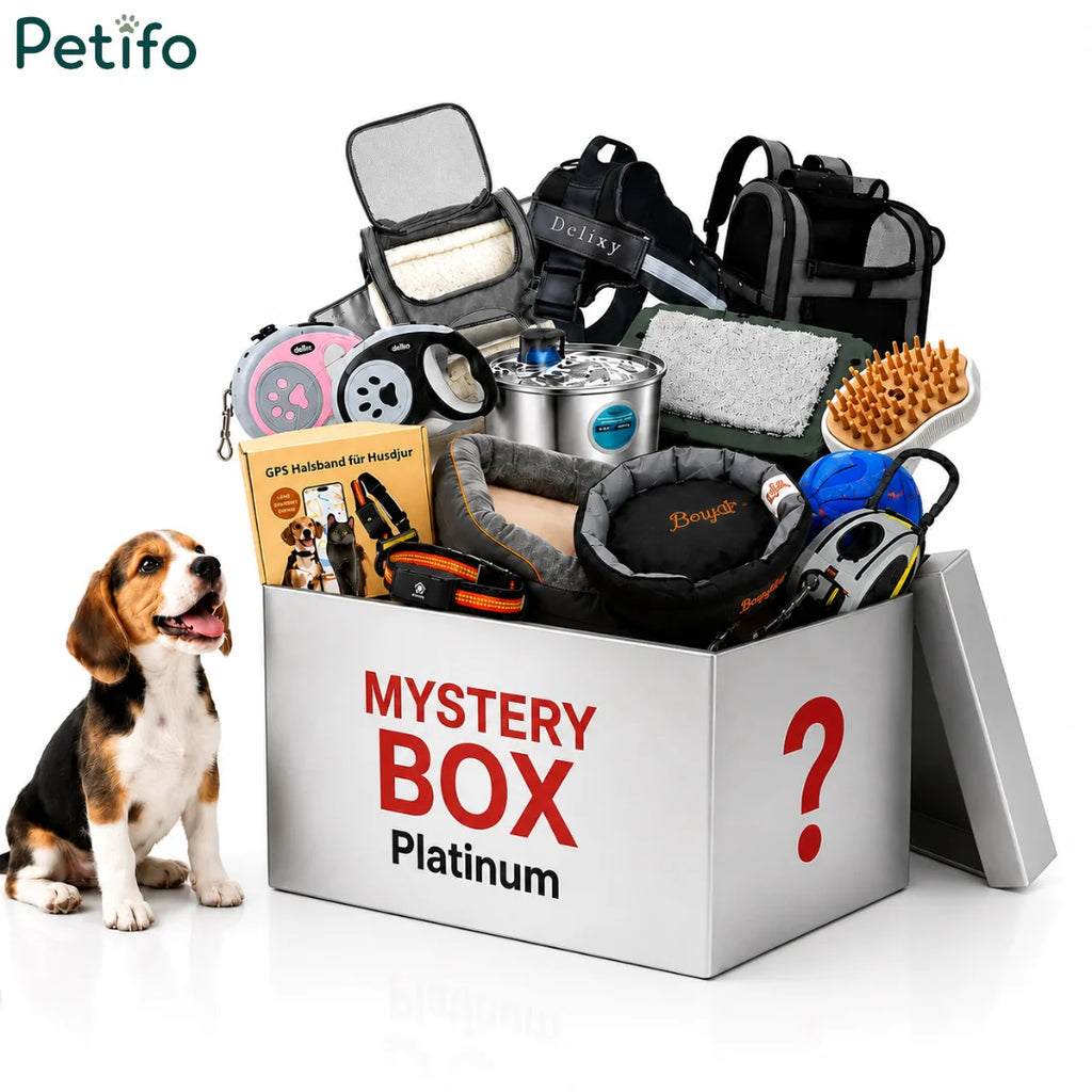 Platinum mystery box filled with premium pet supplies next to a cute beagle puppy.