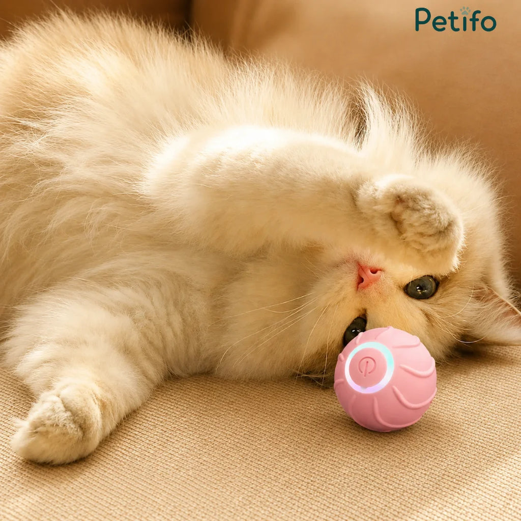 Pink Petifo interactive cat toy ball being playfully batted by a fluffy kitten lying on its back.