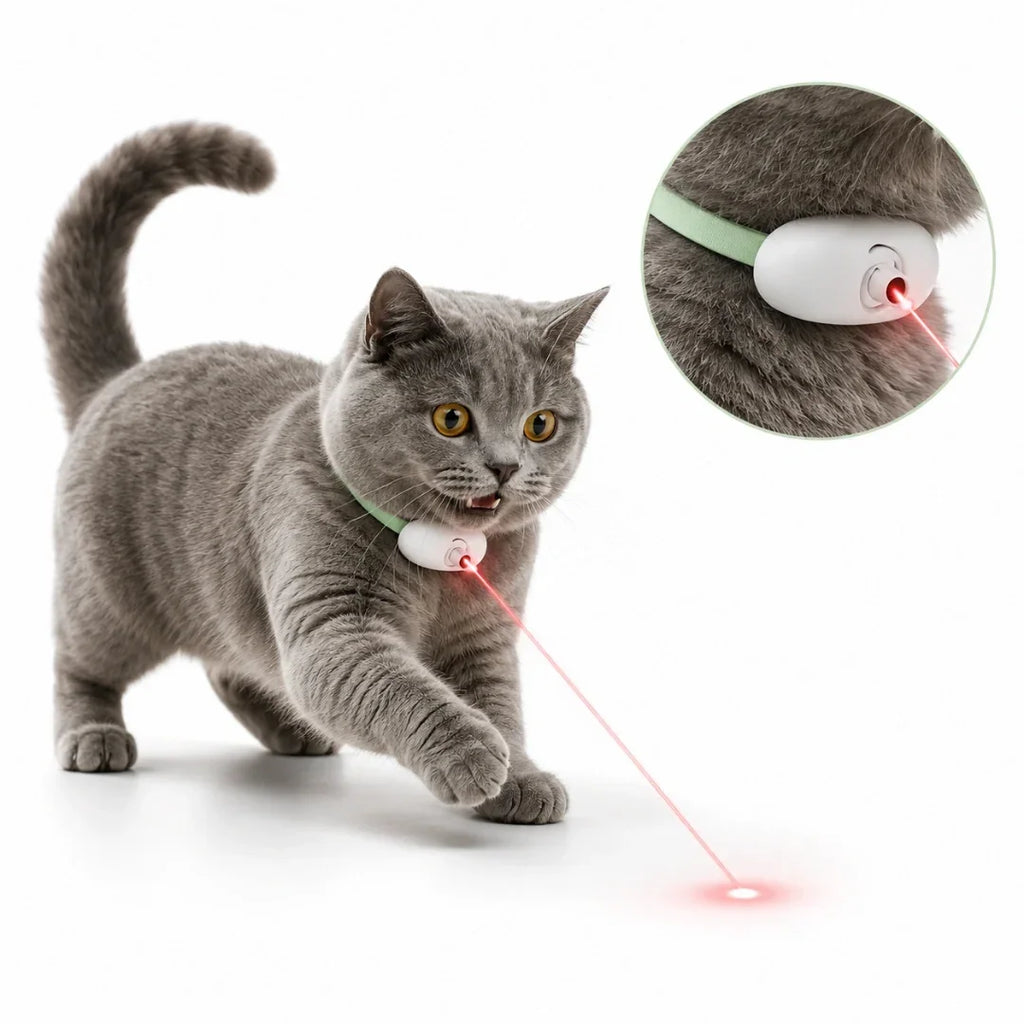 Grey cat playing with the Petifo laser collar, featuring an inset close-up of the device emitting a red laser beam.