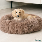 Blonde long-haired dachshund puppy resting comfortably inside a plush brown calming pet bed.