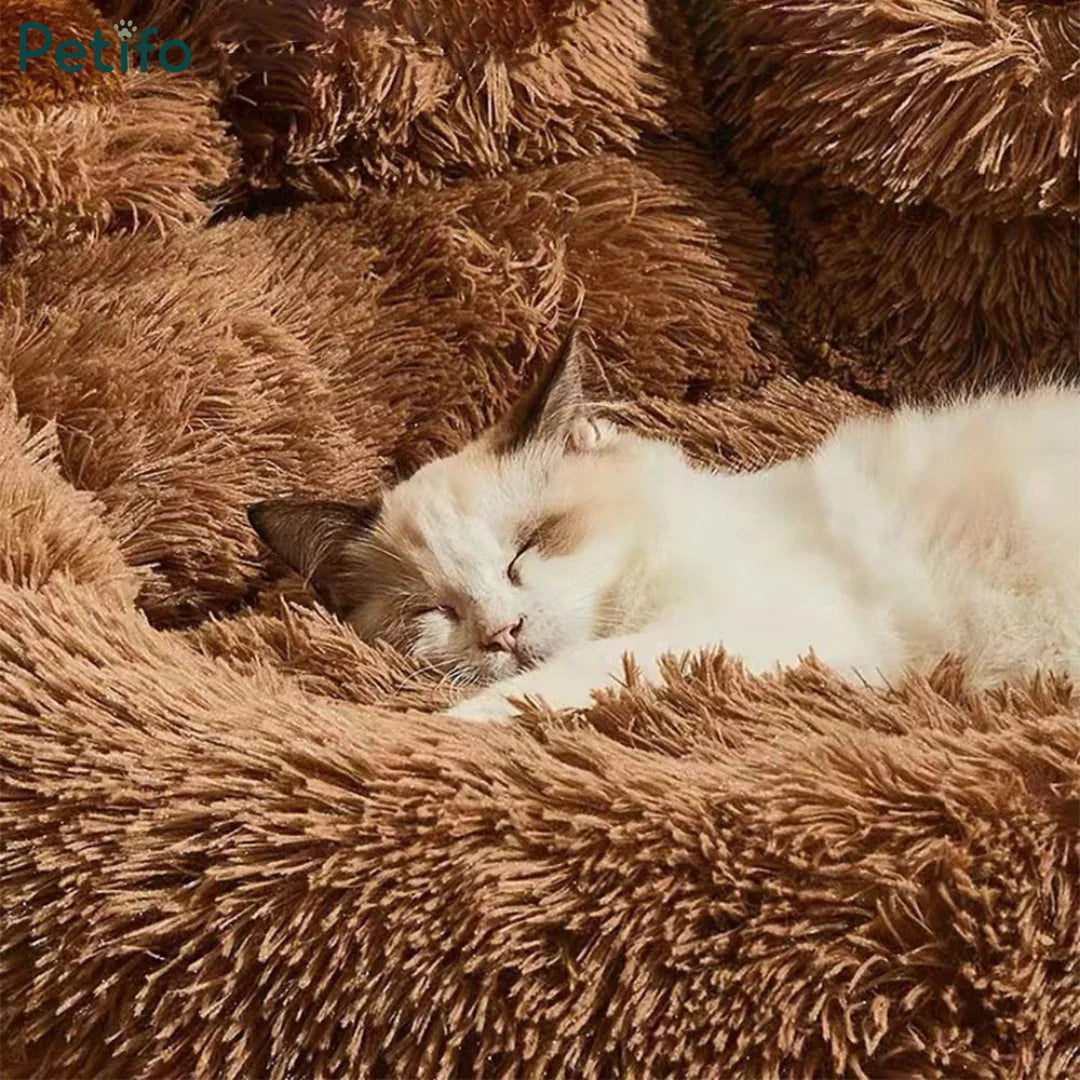 A close-up view of a cute kitten sleeping cozily nestled inside a plush brown paw bed.