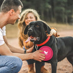 Couple playing outdoors with black Labrador holding pink portable travel bowl