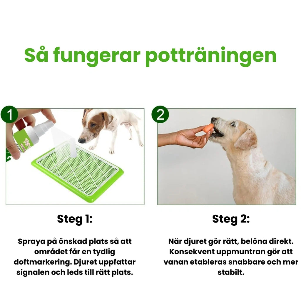 Toilet Training Spray for Pets How the toilet training works - Petifo