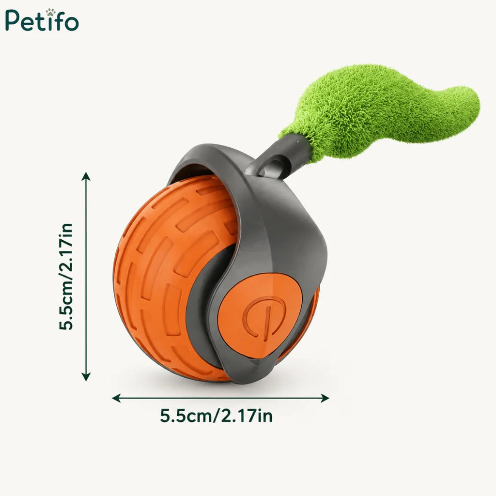 Product dimension infographic showing 5.5cm width and 5.5cm height measurements for the interactive cat ball toy.