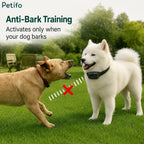 Promotional image showcasing a Samoyed wearing a black anti-bark training collar while a dog barks outdoors.