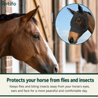 Close-up of a horse wearing a protective black fly mask near a stable entrance.