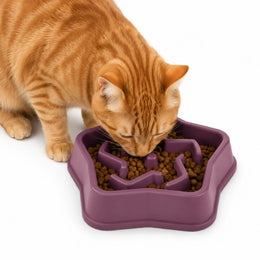 Purppura