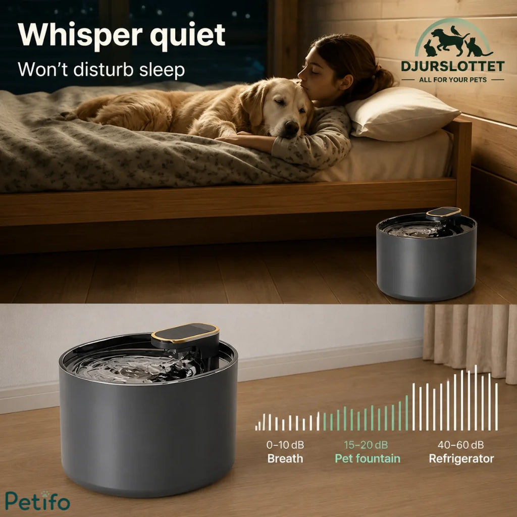 Quiet operation comparison showing Petifo water fountain 15-20 dB sound level next to sleeping dog