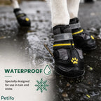 Waterproof winter dog boots standing on wet pavement to show snow and rain resistance.