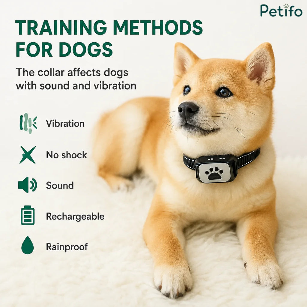 Feature overview infographic displaying a Shiba Inu with the training collar, highlighting sound, vibration, and rechargeable functions.