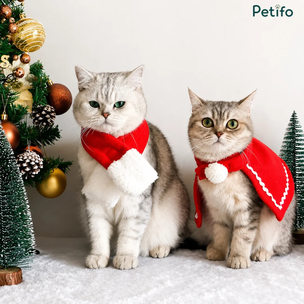 Two cute cats wearing a red Christmas scarf and a matching red holiday cape next to a decorated tree.
