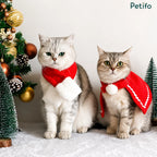 Two cute cats wearing a red Christmas scarf and a matching red holiday cape next to a decorated tree.