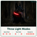 Black German Shepherd resting in the dark wearing a glowing red LED safety collar with quick flash, slow flash, and steady-on modes illustrated below.