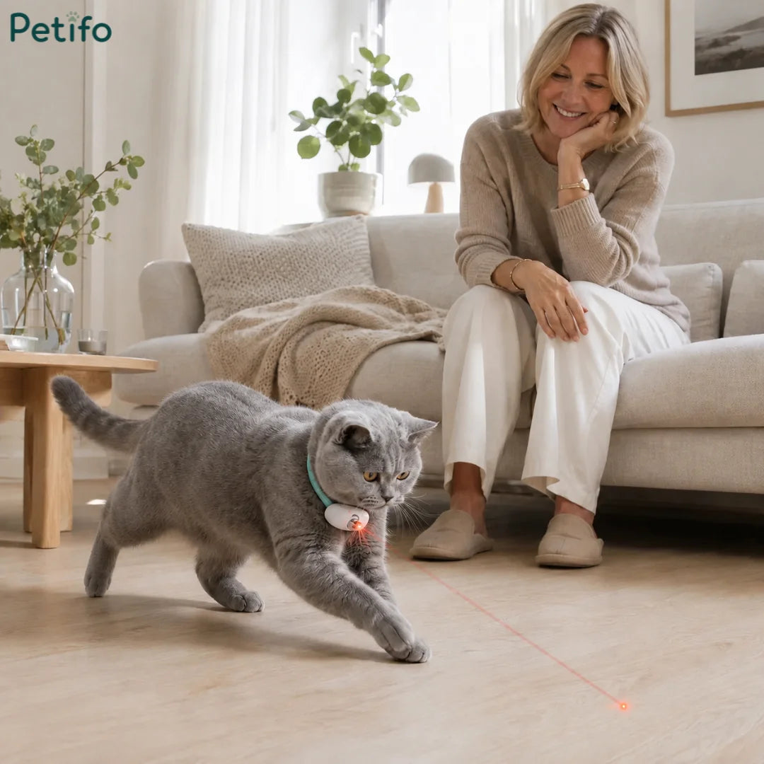 Woman sitting on a sofa smiling as a grey cat enthusiastically chases the red laser dot from its Petifo collar on a wooden floor.
