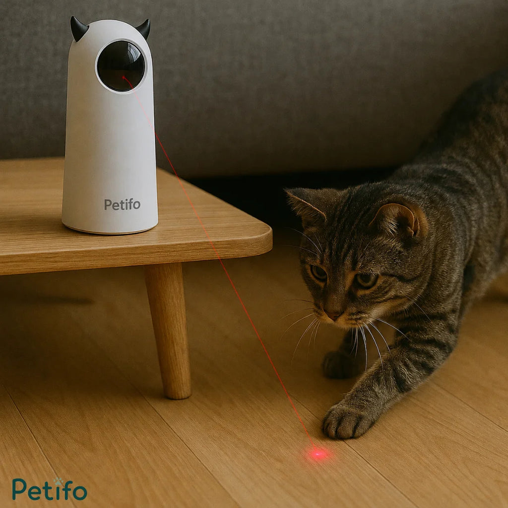 Tabby cat playfully chasing a red laser beam projected on the floor by an automatic toy.