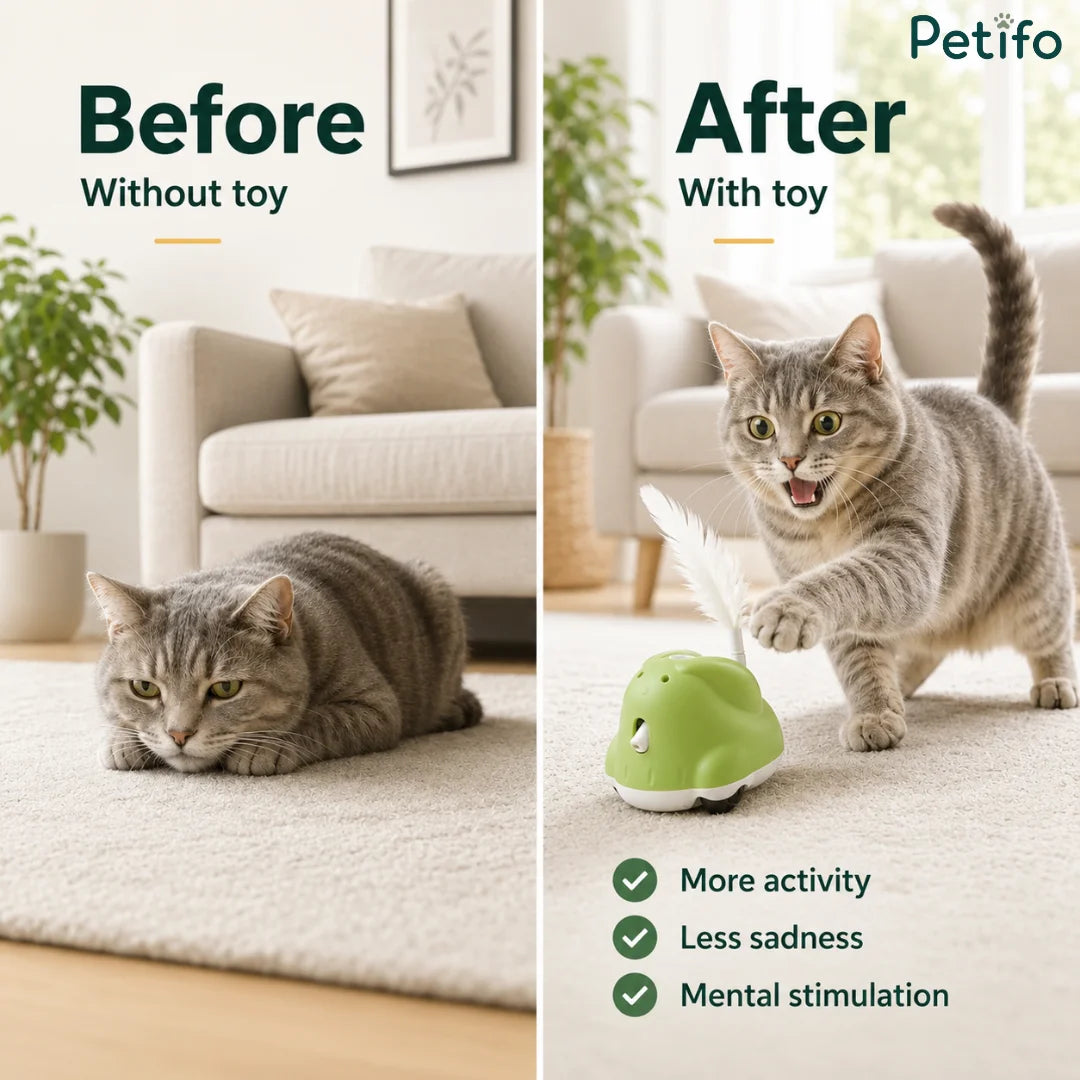 Before and after comparison showing a cat experiencing increased activity, reduced sadness, and mental stimulation with the Petifo toy
