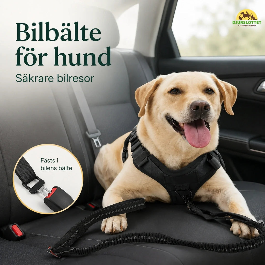 SafePaw Anti-Pull Lead with Seatbelt Attachment - Petifo